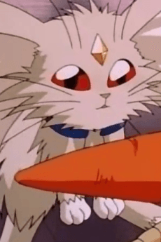 Ken-Ohki
