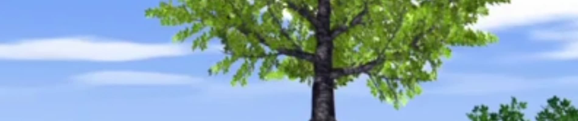 Kokuhaku banner
