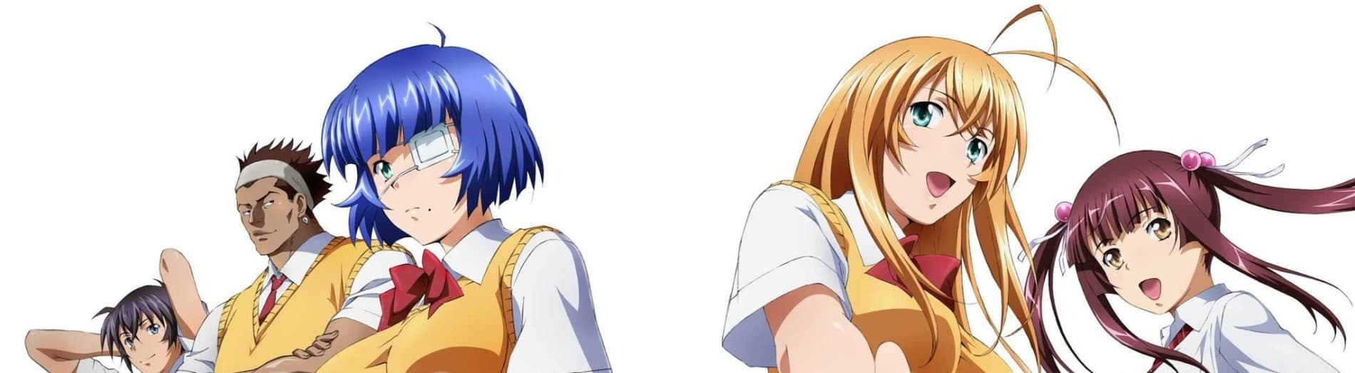 Shin Ikki Tousen banner