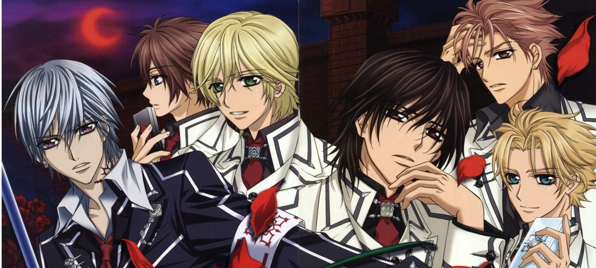 Vampire Knight banner