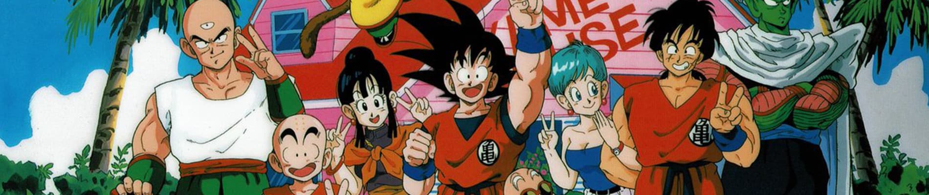 Dragon Ball Z banner
