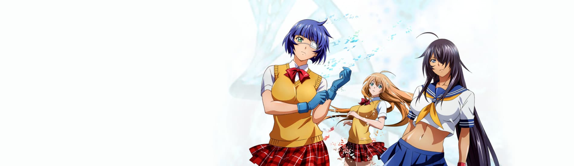 Ikki Tousen: Western Wolves banner